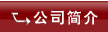 公司簡介